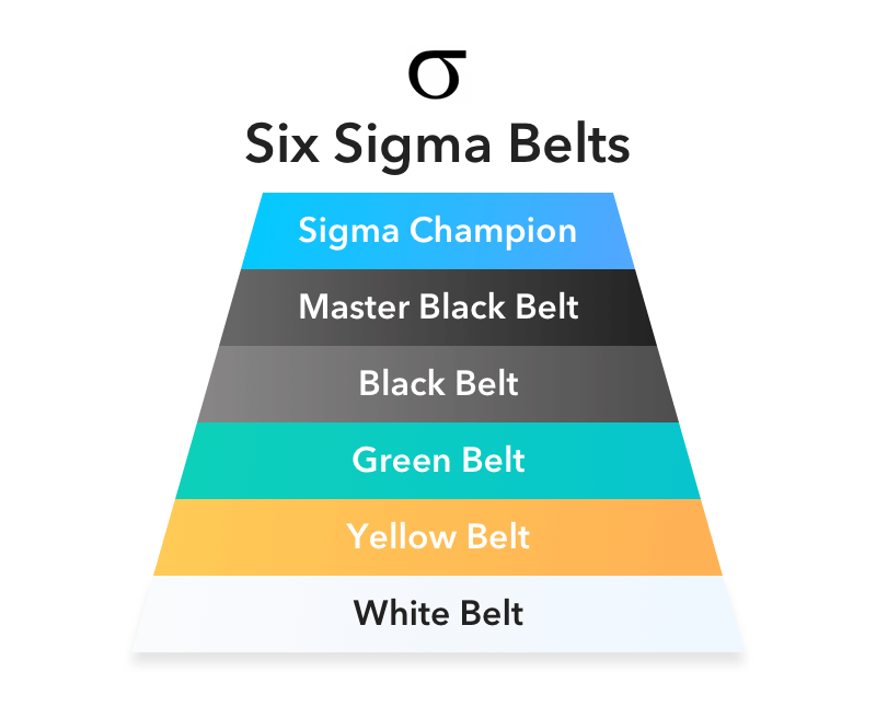 Six Sigma Belts