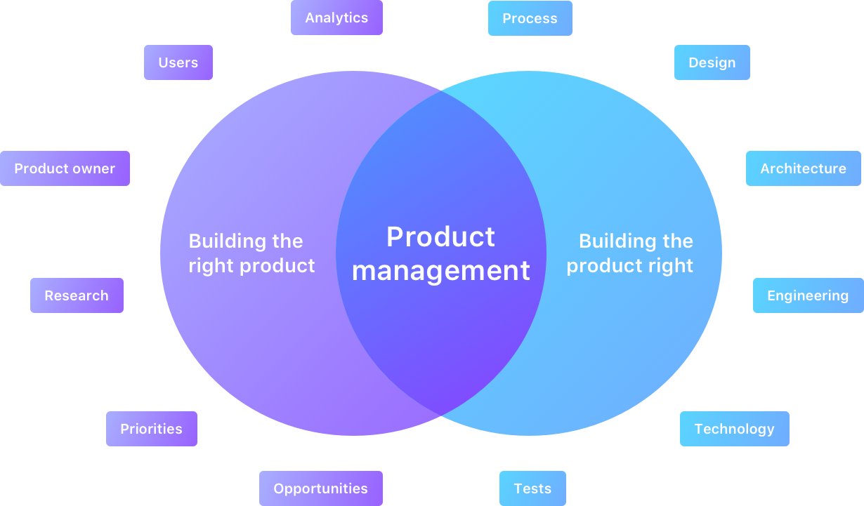 Product management 